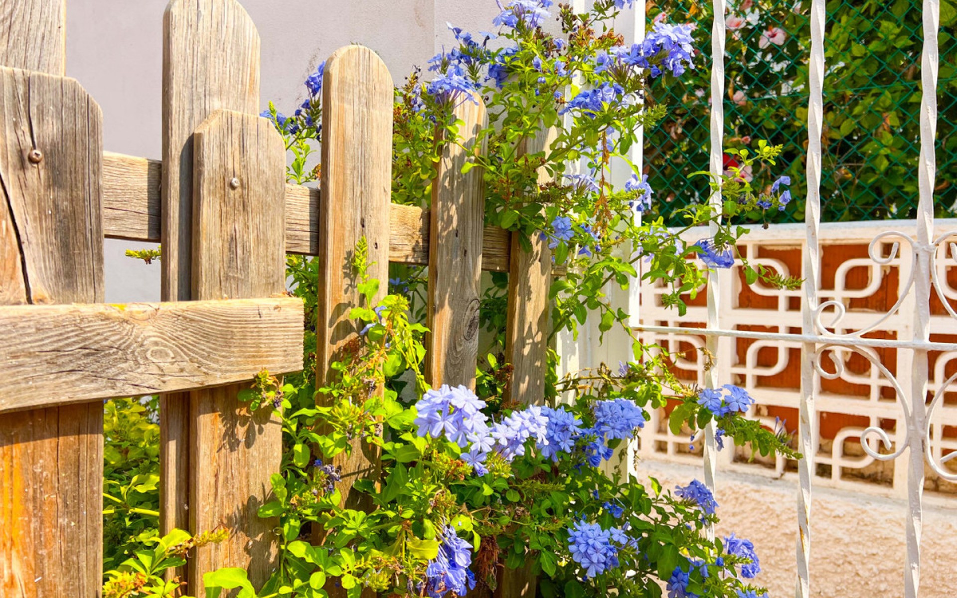 Resale - Villa - Torrevieja - La Mata