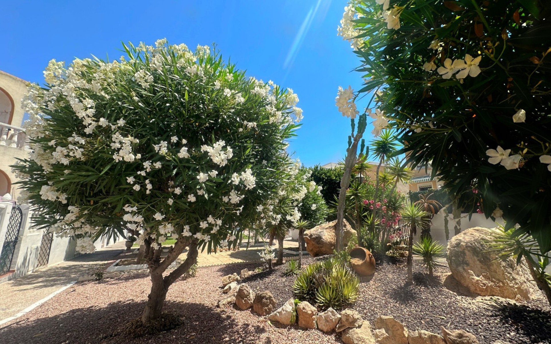 Resale - Villa - Torrevieja - La Mata
