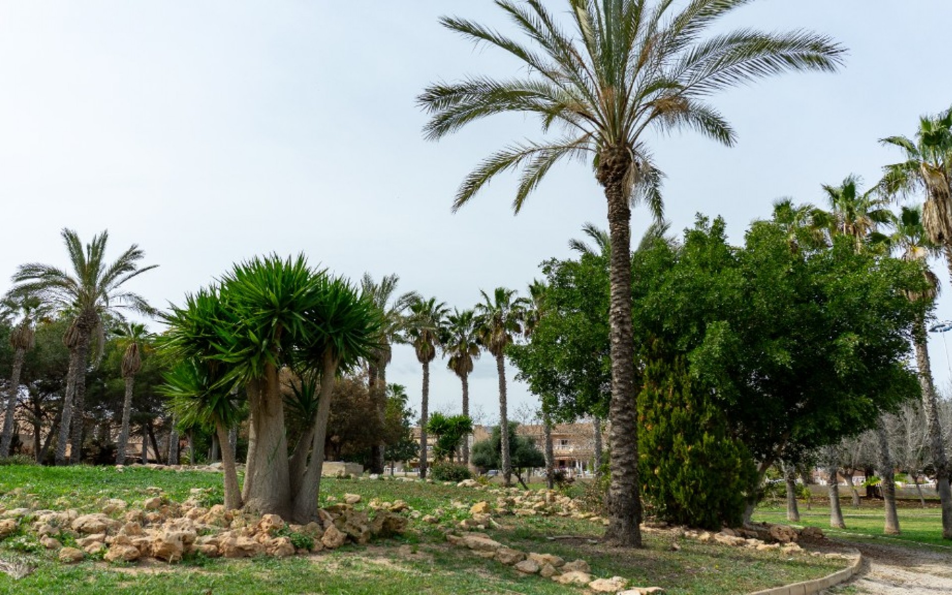 Resale - Villa - Torrevieja - Los Altos