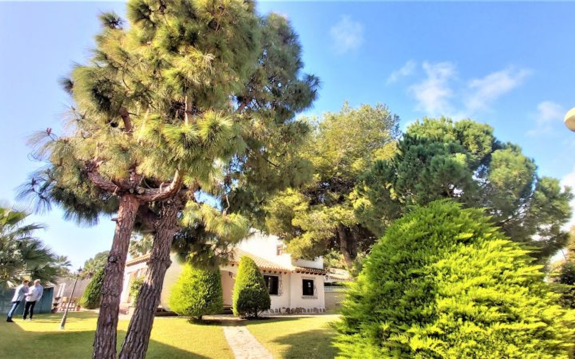 Resale - Villa - Torrevieja - Torrevieja Centro