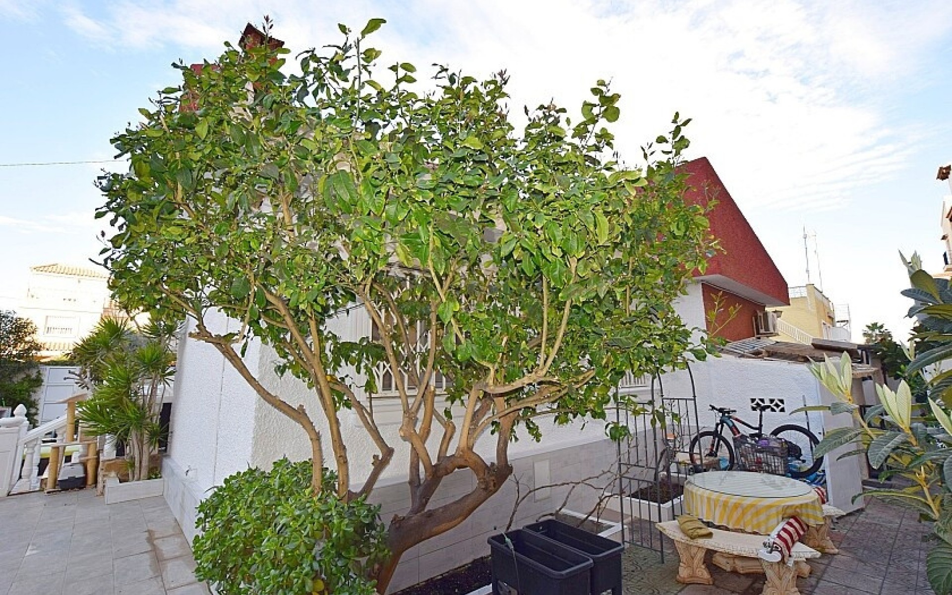 Resale - Villa - Torrevieja - Torrevieja Centro