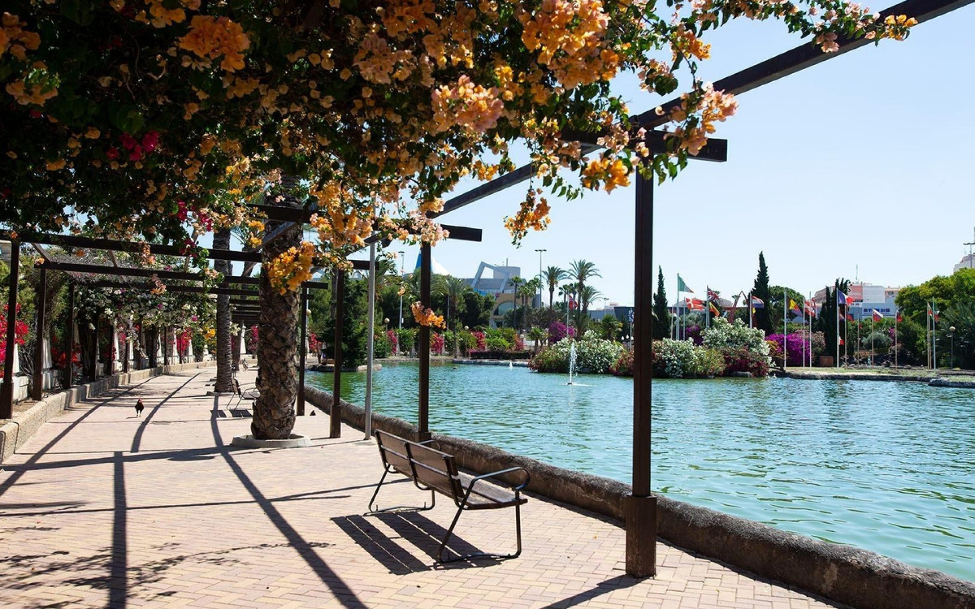 Resale - Villa - Torrevieja - Torrevieja Centro