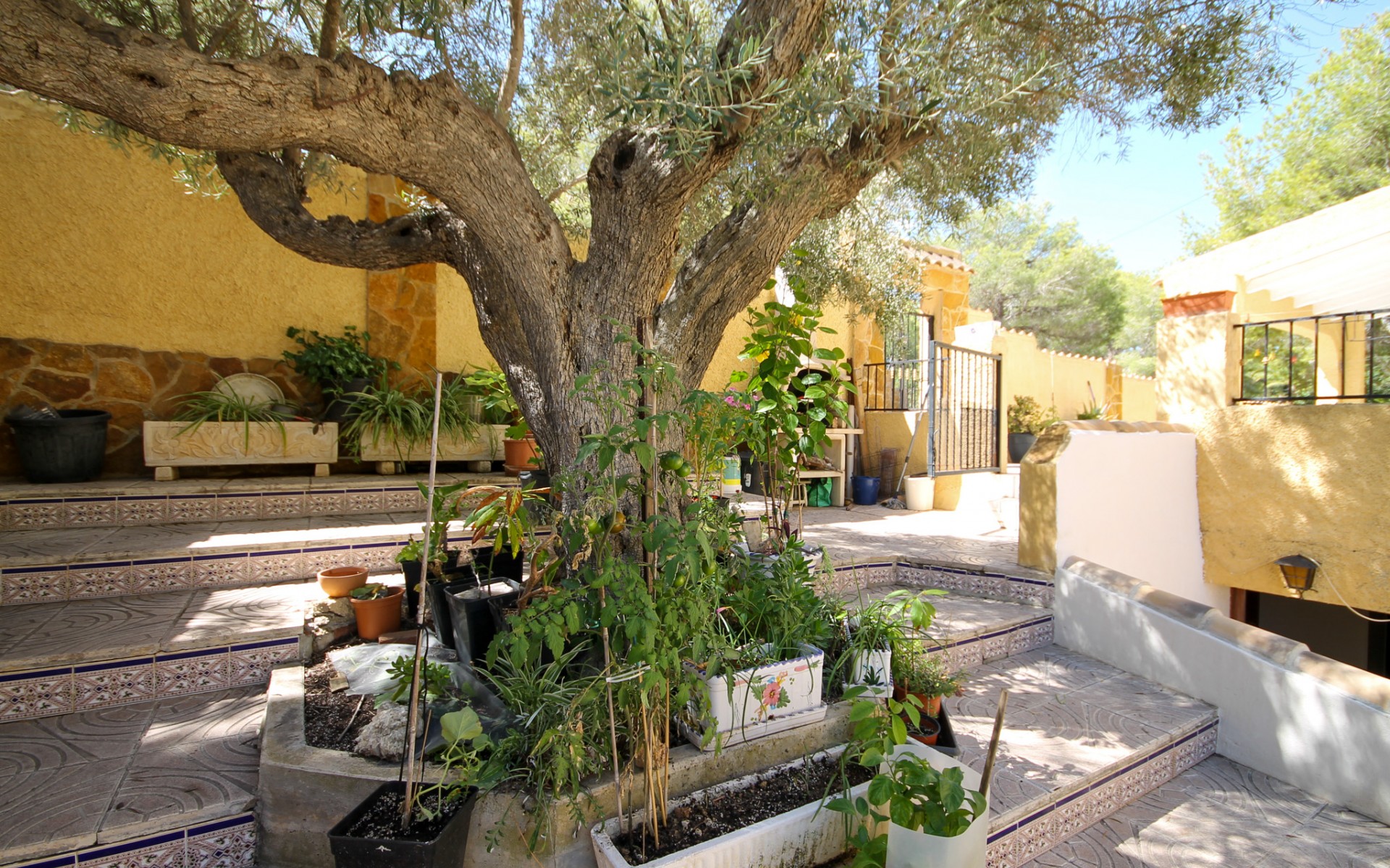 Resale - Villa - Villamartin