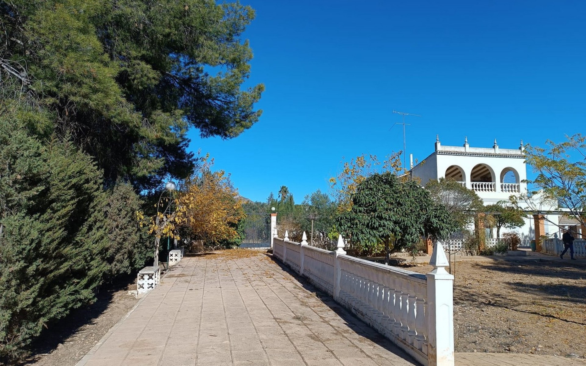 Resale - Villa - Yecla - Yecla Centro