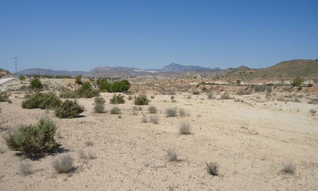 Terre - A Vendre - Abanilla - Abanilla Centro