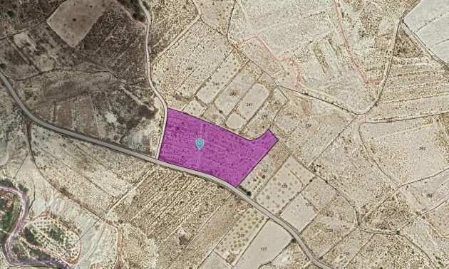 Terre - A Vendre - Abanilla - Abanilla Centro