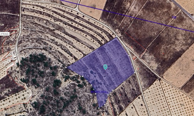 Terre - A Vendre - Abanilla - Cañada de la Leña