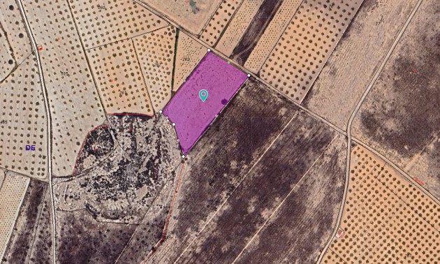 Terre - A Vendre - Abanilla - Cañada de la Leña