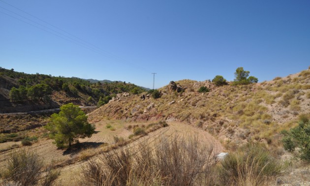 Terre - A Vendre - Abanilla - Macisvenda