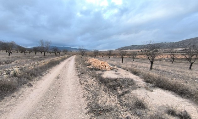 Terre - A Vendre - Jalon - La Solana