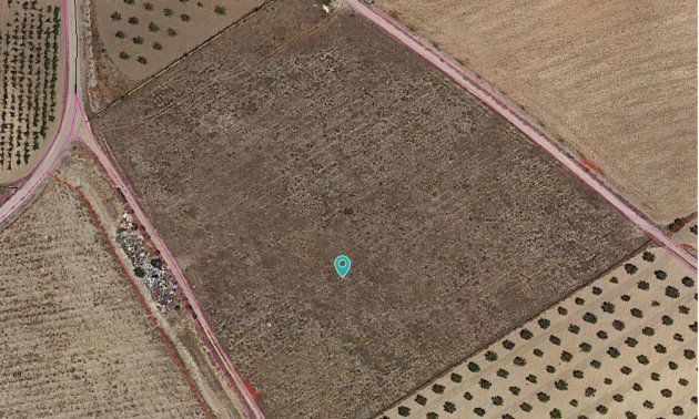 Terre - A Vendre - Jumilla - Cañada del Trigo