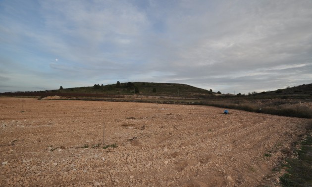 Terre - A Vendre - Jumilla - Cañada del Trigo