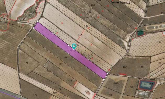 Terre - A Vendre - Jumilla - Jumilla Centro