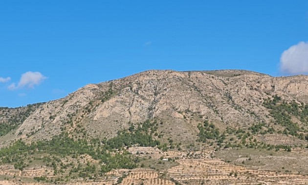 Terre - A Vendre - La Romana - La Romana Centro