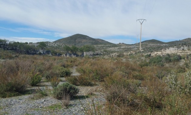 Terre - A Vendre - Lorca - Lorca Centro