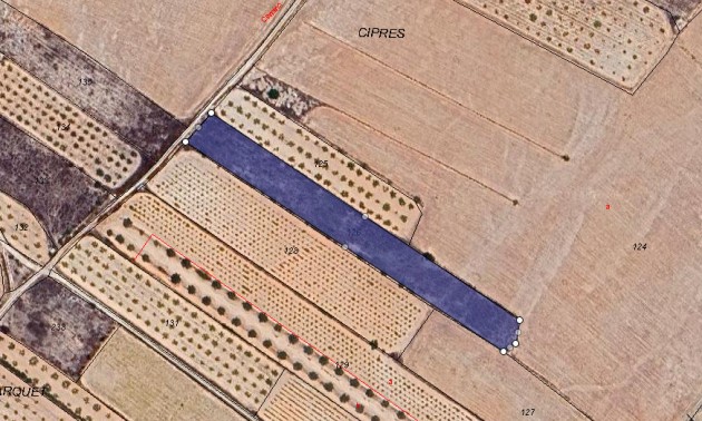 Terre - A Vendre - Monóvar - Monòver - Casas del Señor