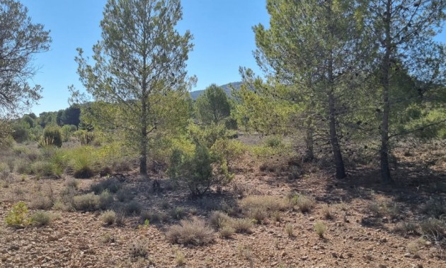 Terre - A Vendre - Monóvar - Monòver - Casas del Señor