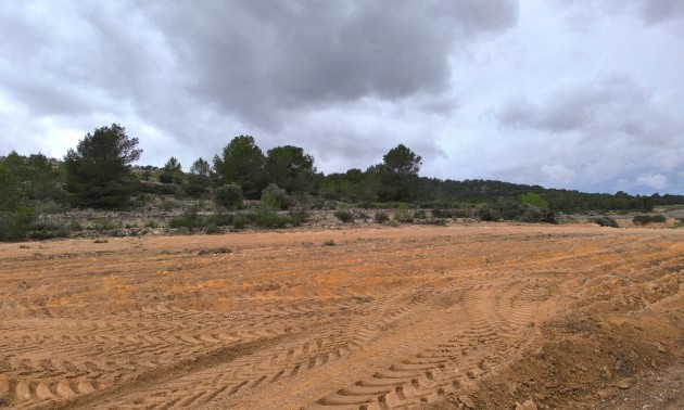 Terre - A Vendre - Monóvar - Monòver - Chinorlet