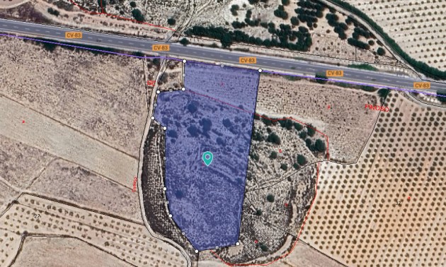 Terre - A Vendre - Monóvar - Monòver - Chinorlet