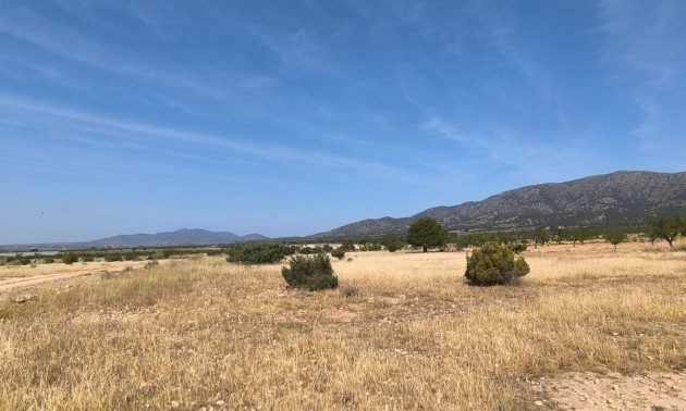 Terre - A Vendre - Monóvar - Monòver - Monóvar - Monòver Centro