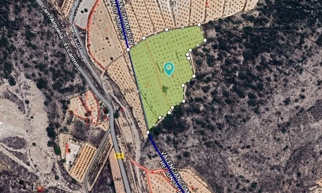 Terre - A Vendre - Orihuela - Orihuela Centro