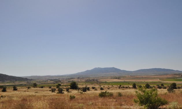 Terre - A Vendre - Pinoso - Pinoso Centro