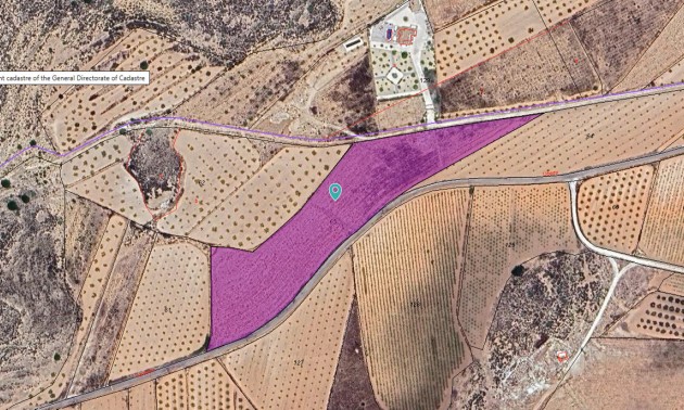 Terre - A Vendre - Pinoso - Pinoso Centro