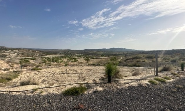 Terre - A Vendre - Torremendo - CSPA-89378