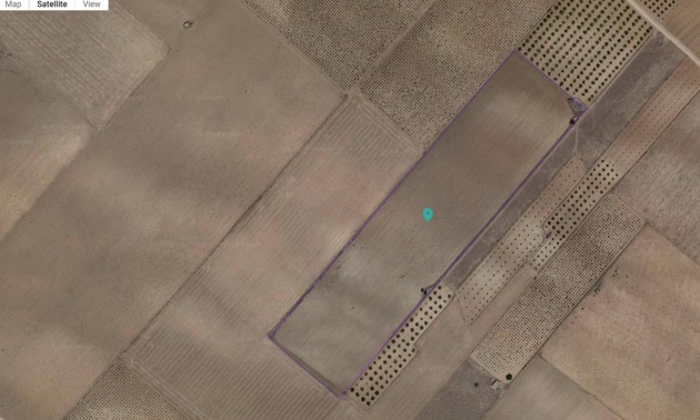 Terre - A Vendre - Yecla - Yecla Centro