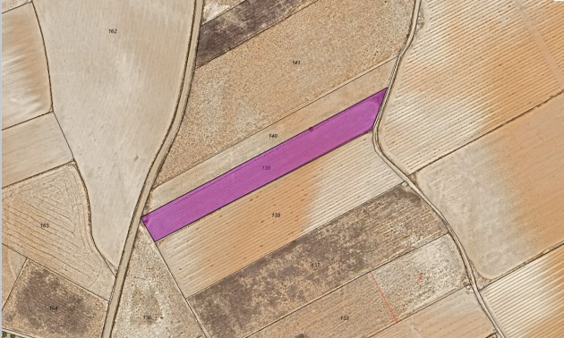 Terre - A Vendre - Yecla - Yecla Centro