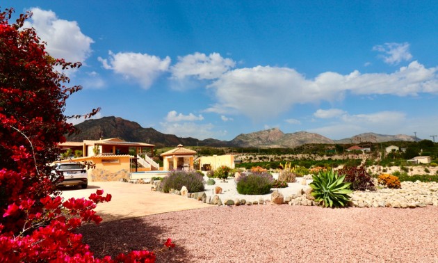 Villa - A Vendre - Albatera - CSPX-61370