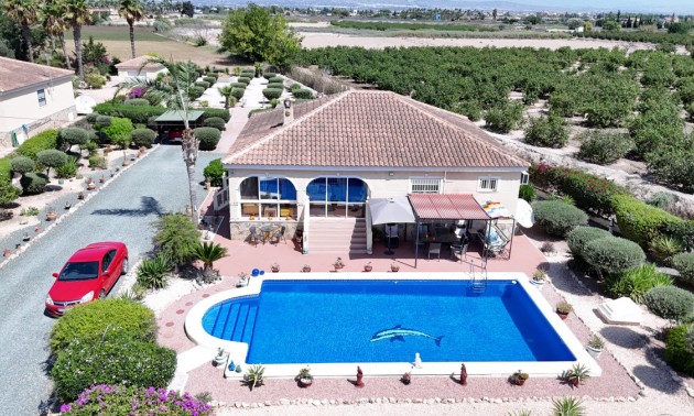 Villa - A Vendre - Catral - CSPX-87901
