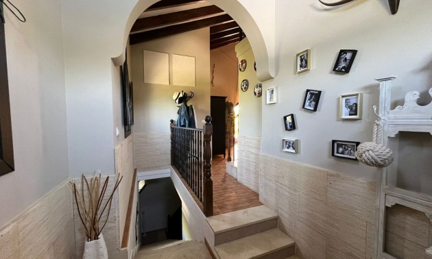 Villa - A Vendre - Elche - CSPX-47261