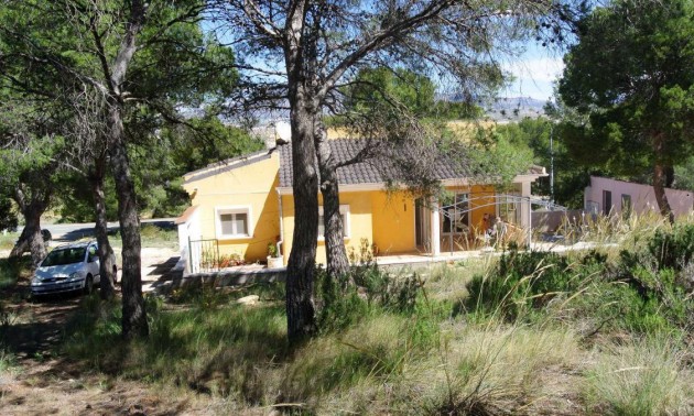 Villa - A Vendre - Jumilla - Jumilla Centro