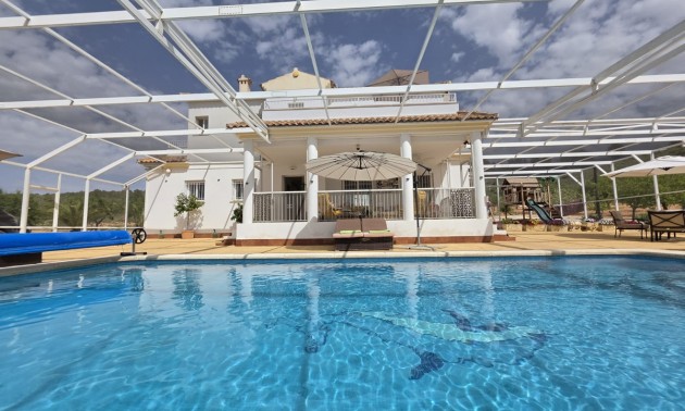 Villa - A Vendre - Pinoso - Lel