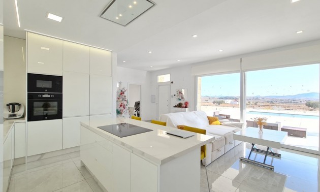 Villa - A Vendre - Pinoso - Pinoso Centro