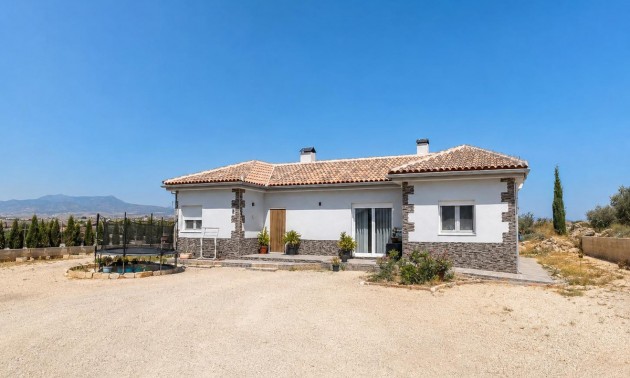 Villa - A Vendre - Pinoso - Pinoso Centro