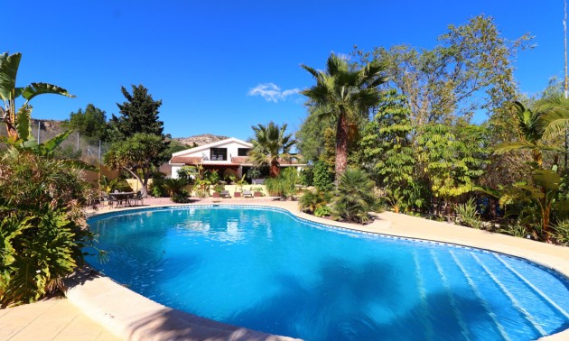 Villa -  -  - Aspe Centro