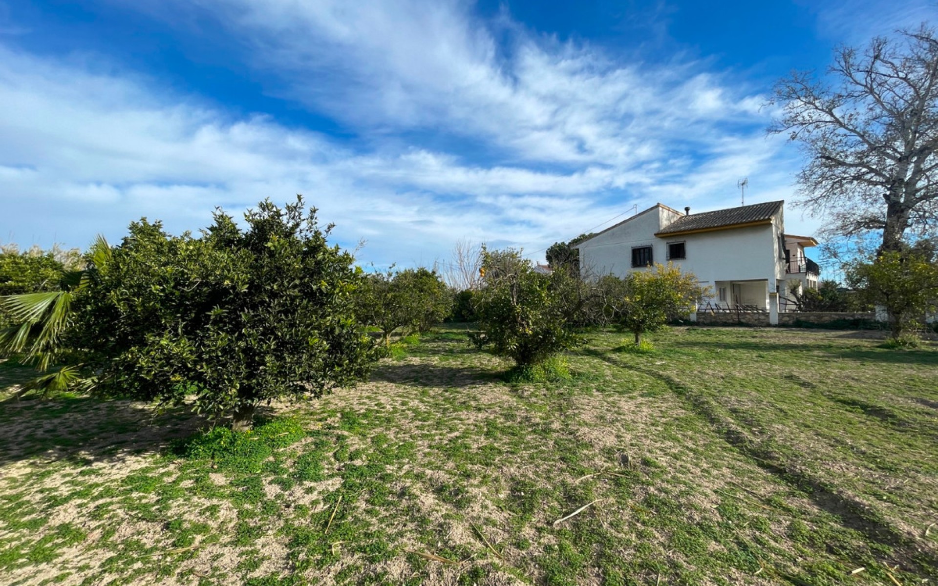  - Villa -  - Benejuzar Centro