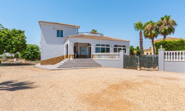 Villa -  -  - Catral Centro