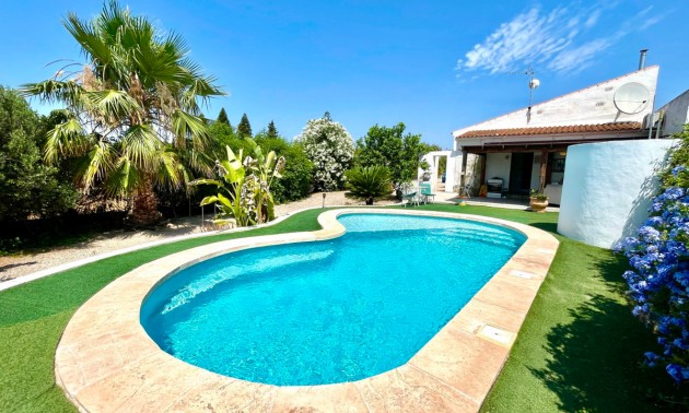 Villa -  -  - Daya Nueva Centro