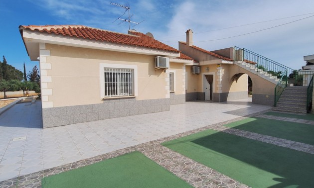 Villa -  -  - Elche Centro