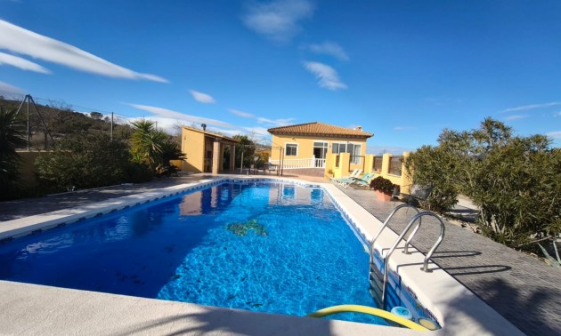 Villa -  -  - Hondón de los Frailes Centro
