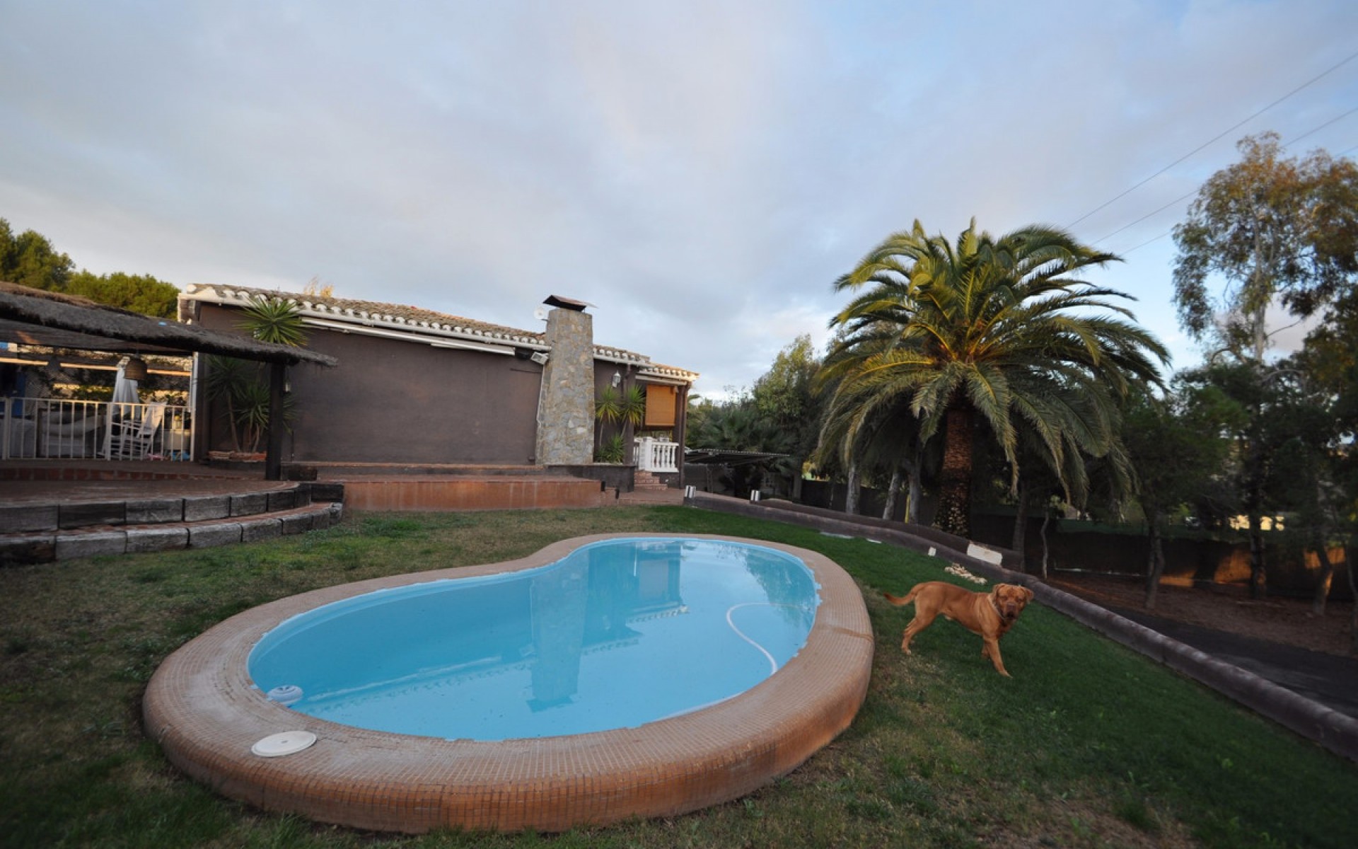  - Villa - Monóvar - Monòver - Monóvar - Monòver Centro