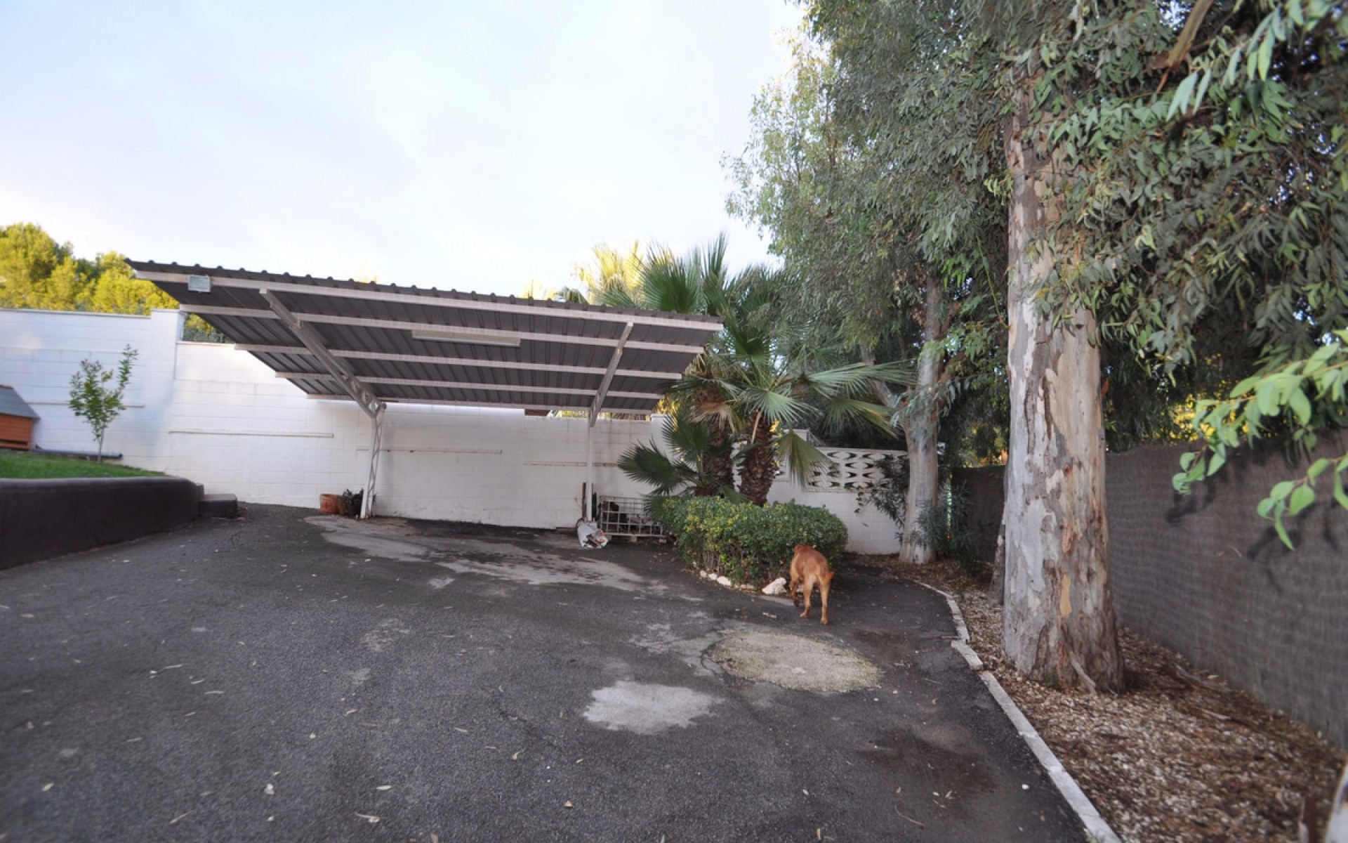  - Villa - Monóvar - Monòver - Monóvar - Monòver Centro