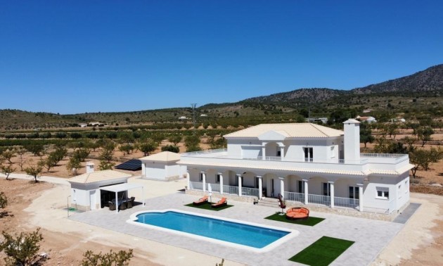 Villa - New Build - Pinoso - CSPN-67578