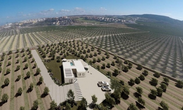 Villa - Nouvelle Construction - Algorfa - Algorfa