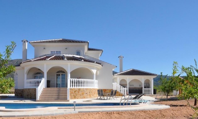 Villa - Nouvelle Construction - Pinoso - Campo