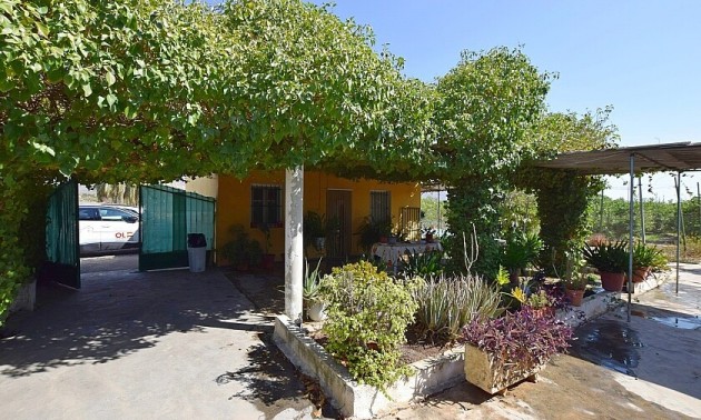 Villa - Resale - Albatera - Albatera Centro