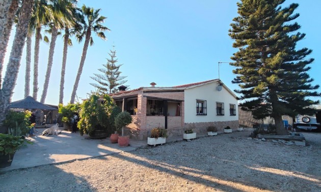 Villa - Resale - Elche - CSPX-98292